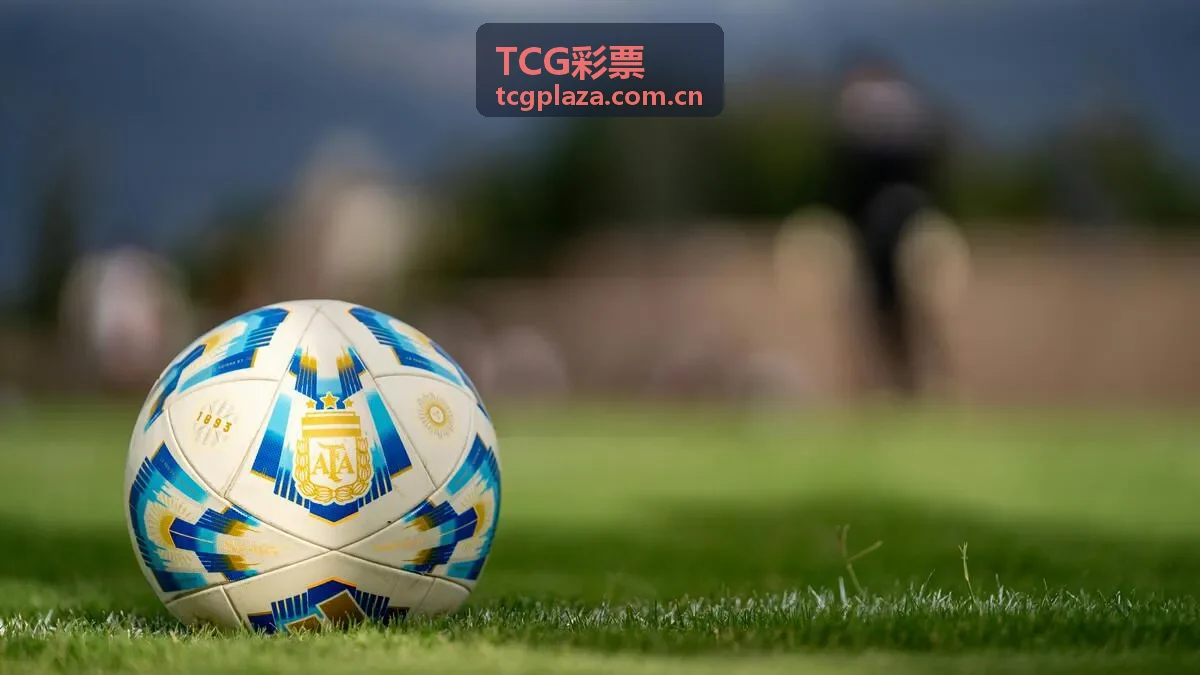 TCG彩票大乐透彩种